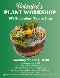 DIY Plant Workshop