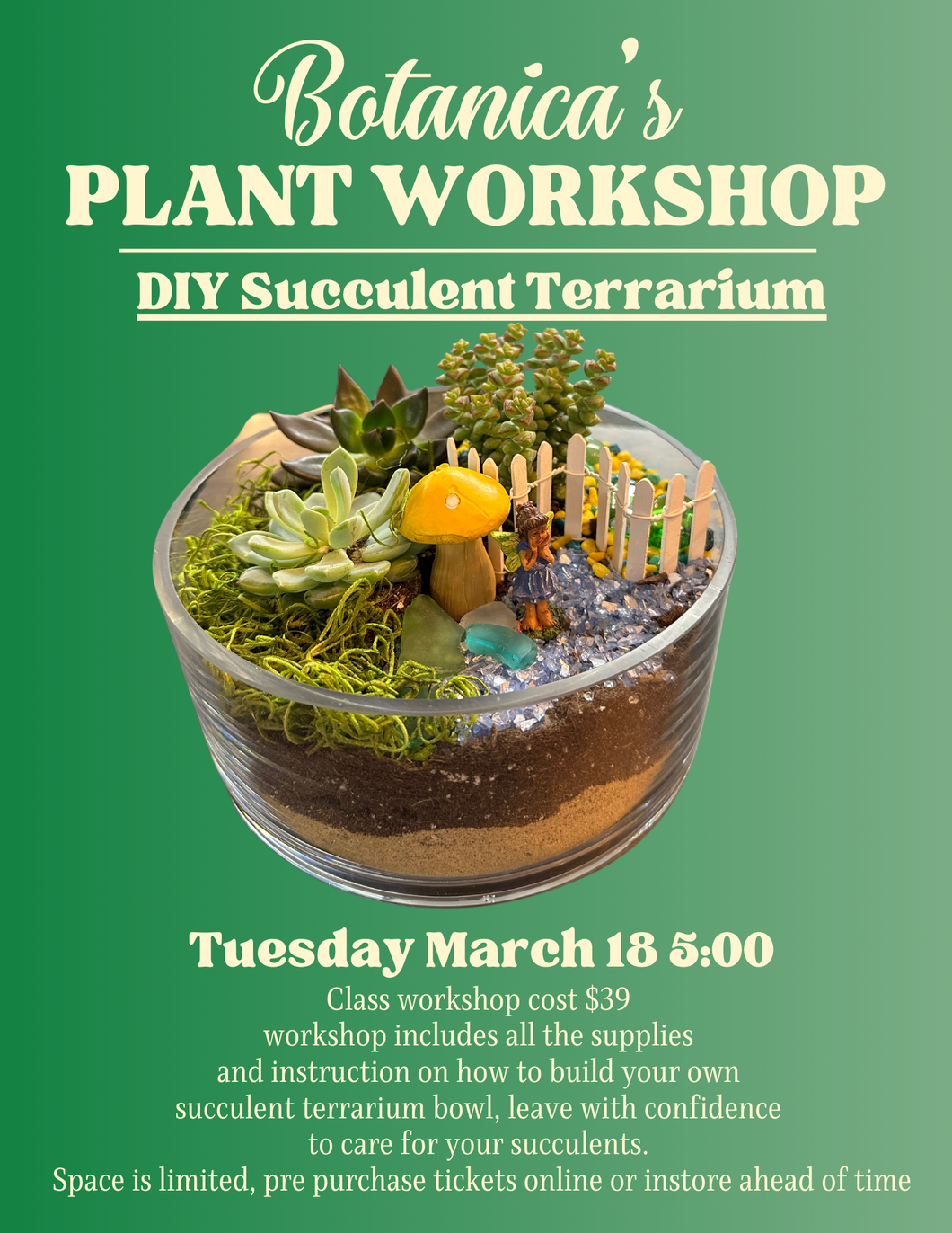 DIY Plant Workshop